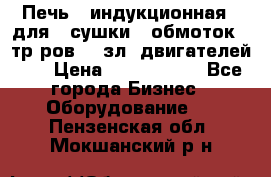 Печь   индукционная   для   сушки   обмоток   тр-ров,   зл. двигателей    › Цена ­ 3 000 000 - Все города Бизнес » Оборудование   . Пензенская обл.,Мокшанский р-н